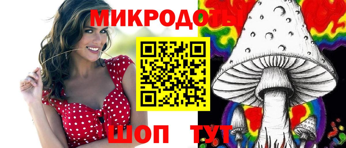 Псилоцибиновые грибы Cubensis Железногорск