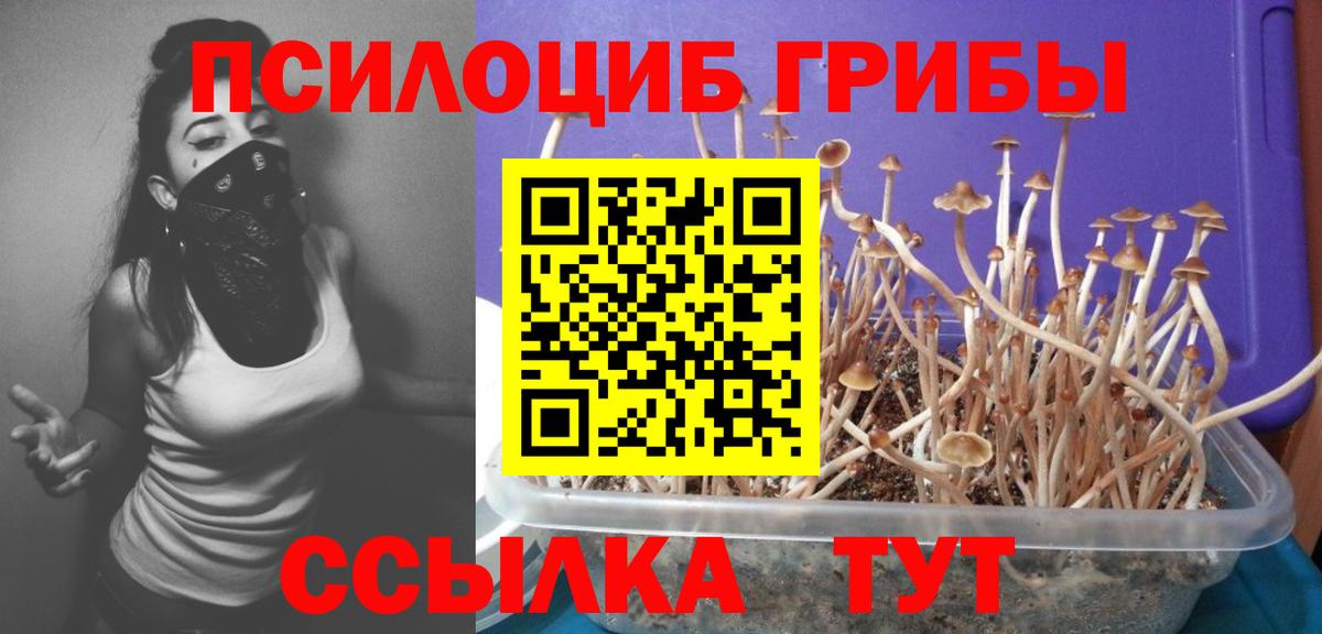 Галлюциногенные грибы MAGIC MUSHROOMS  Вход с VPN  Железногорск  Псилоцибиновые грибы ЛСД 